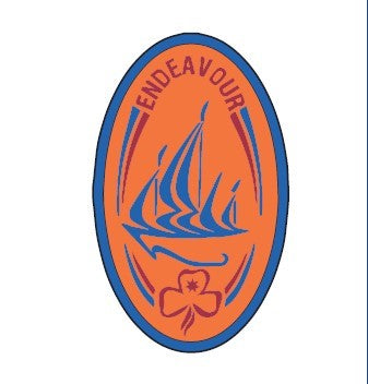 Bronze Endeavour cloth badge