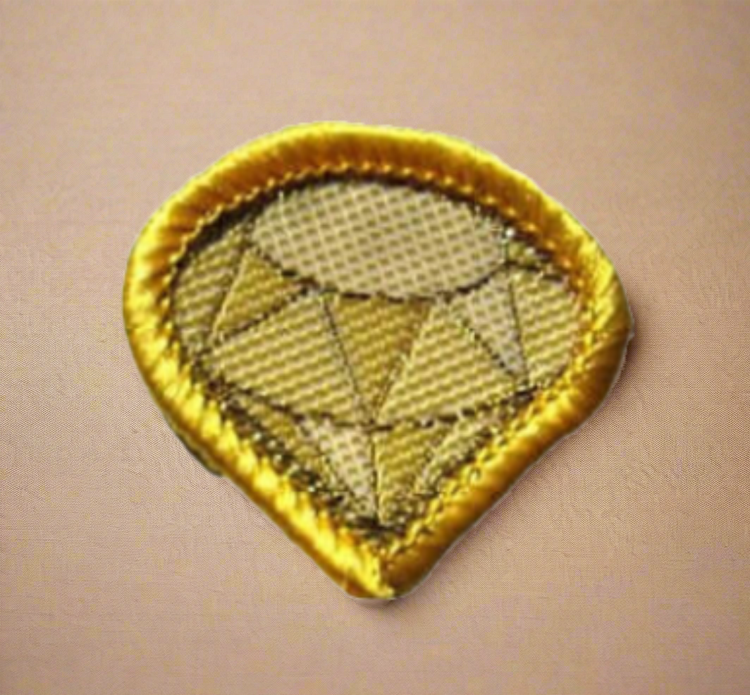 Discover A Challenge Badges