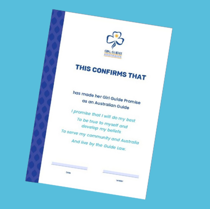 Promise Certificate Formal