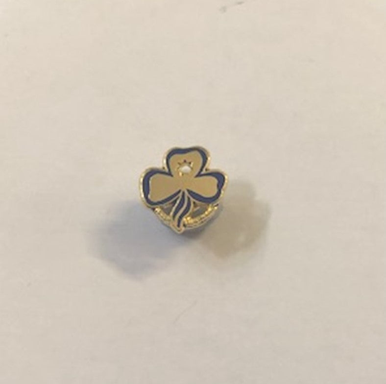Mini Promise Metal Badge