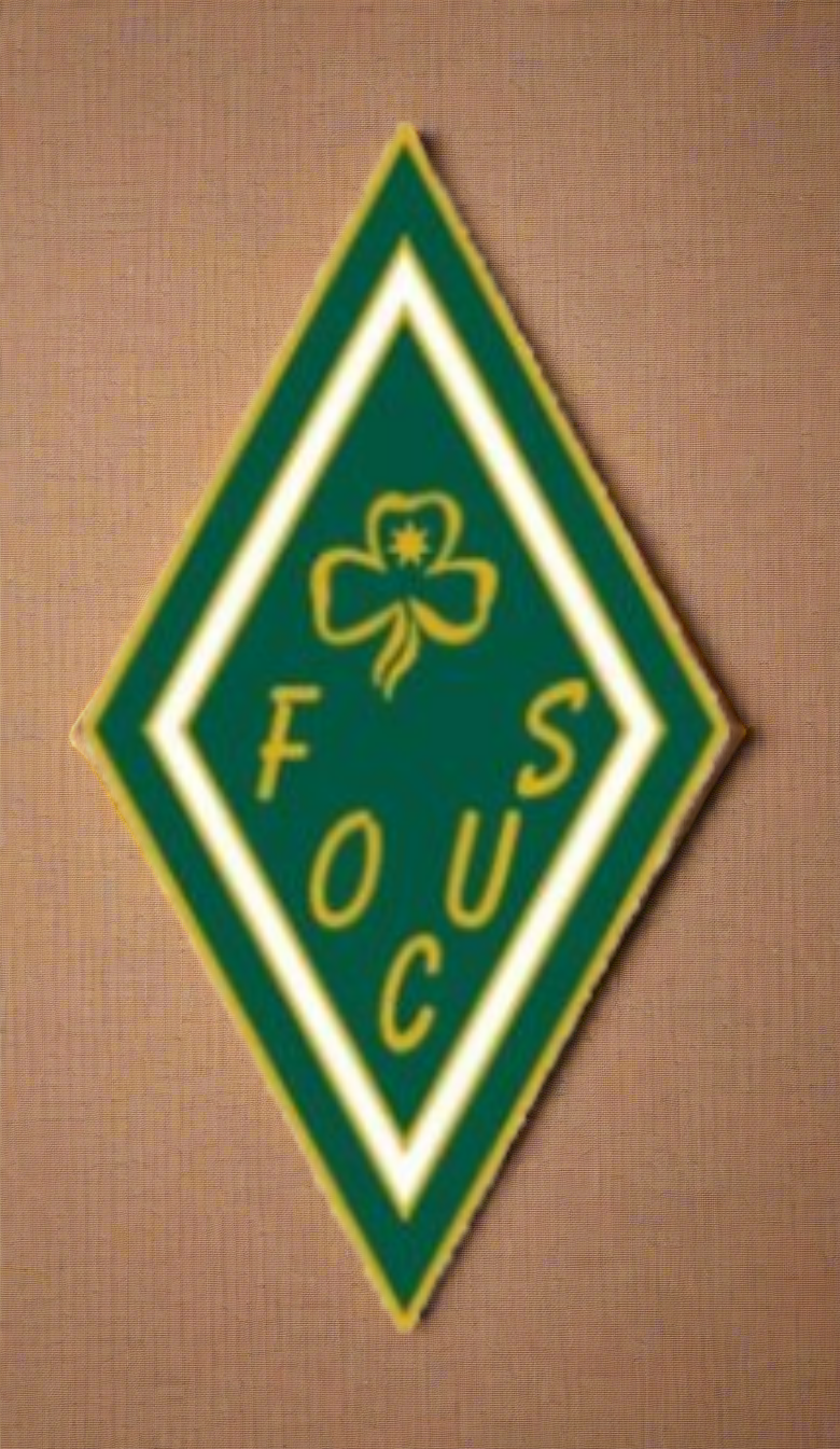 Queen's Guide Focus Badges
