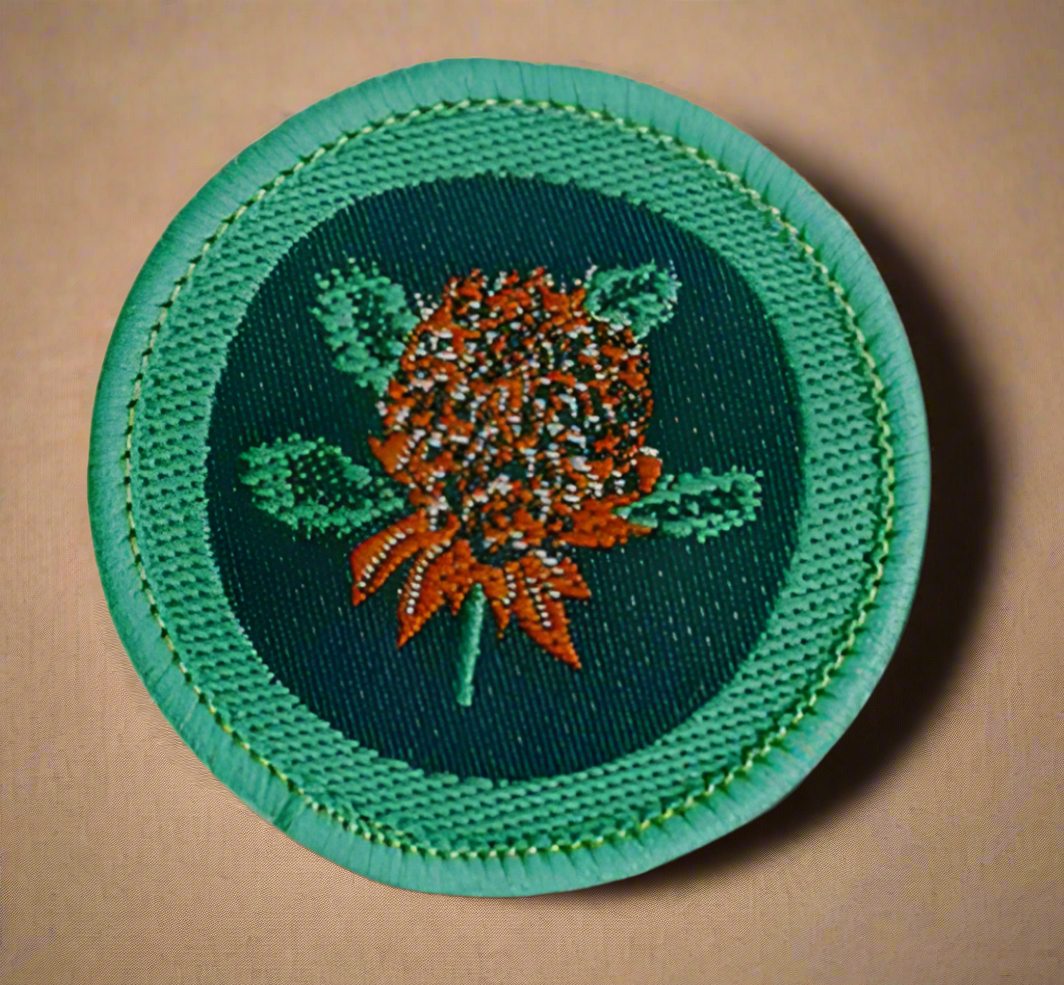 Patrol Emblem