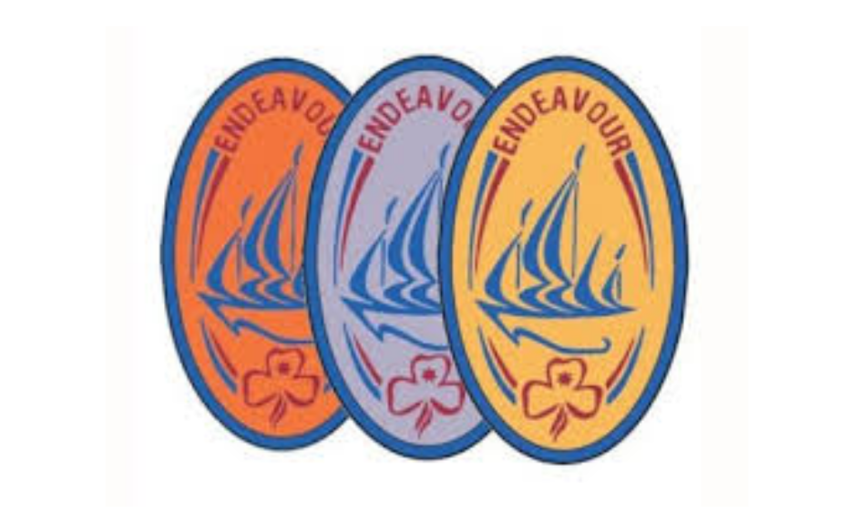 Silver Endeavour Cloth Badge