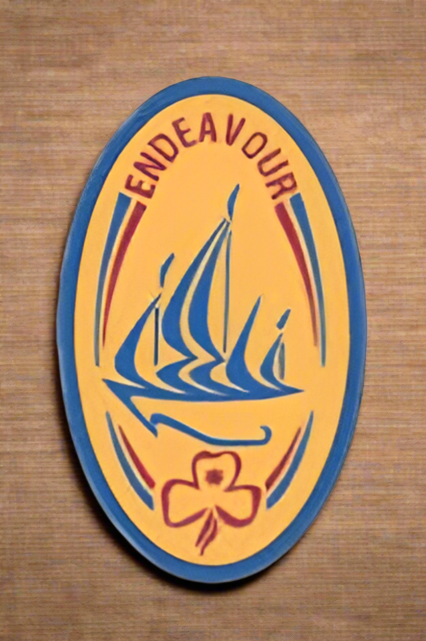 Gold Endeavour Cloth Badge