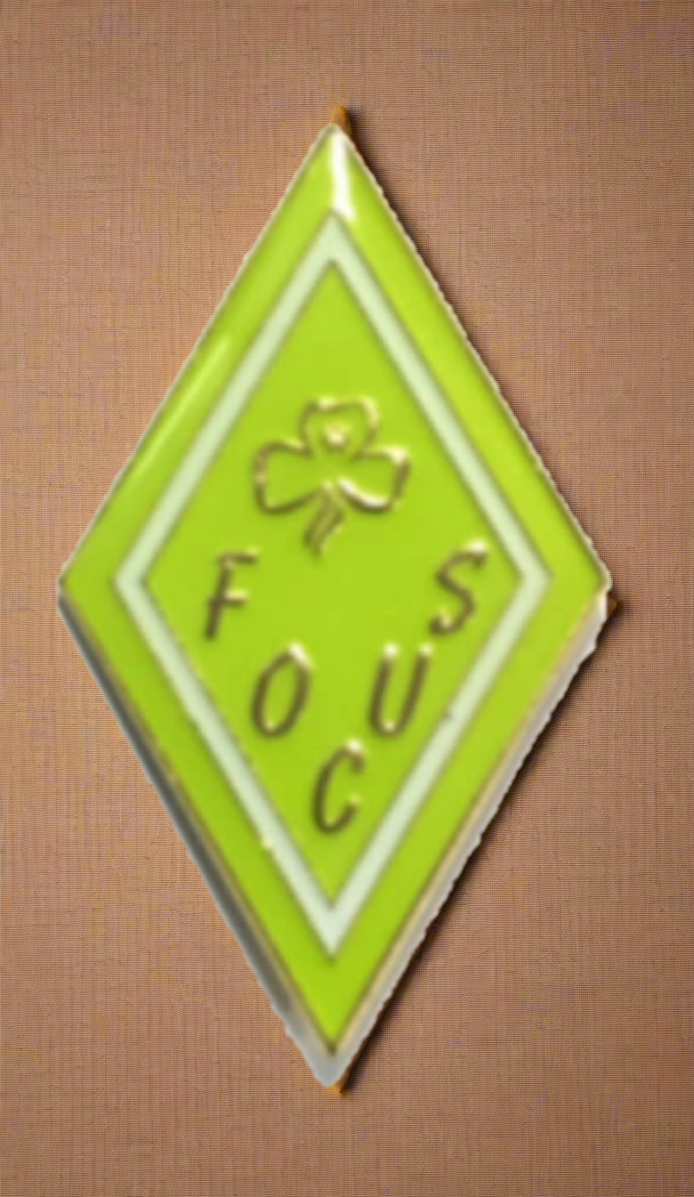 Queen's Guide Focus Badges