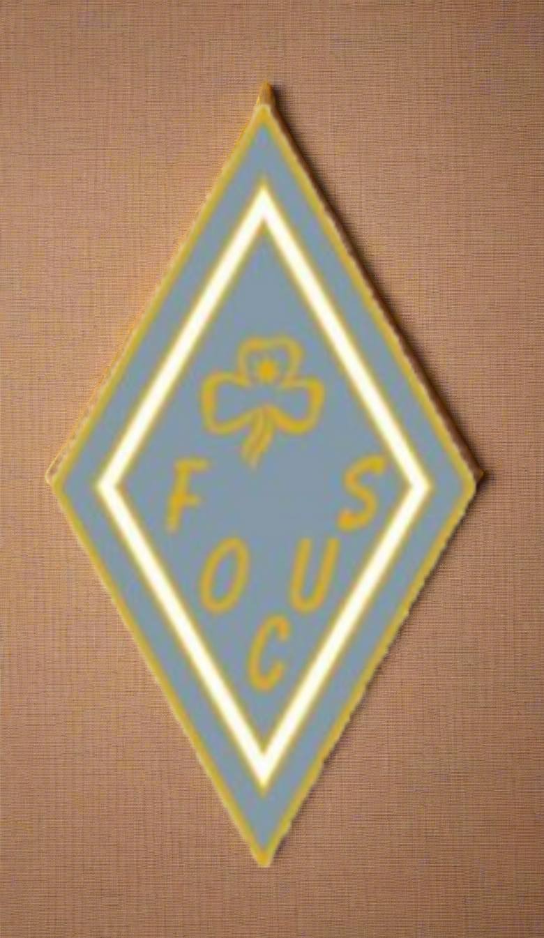 Queen's Guide Focus Badges