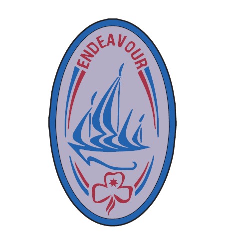 Endeavour cloth and metal badges