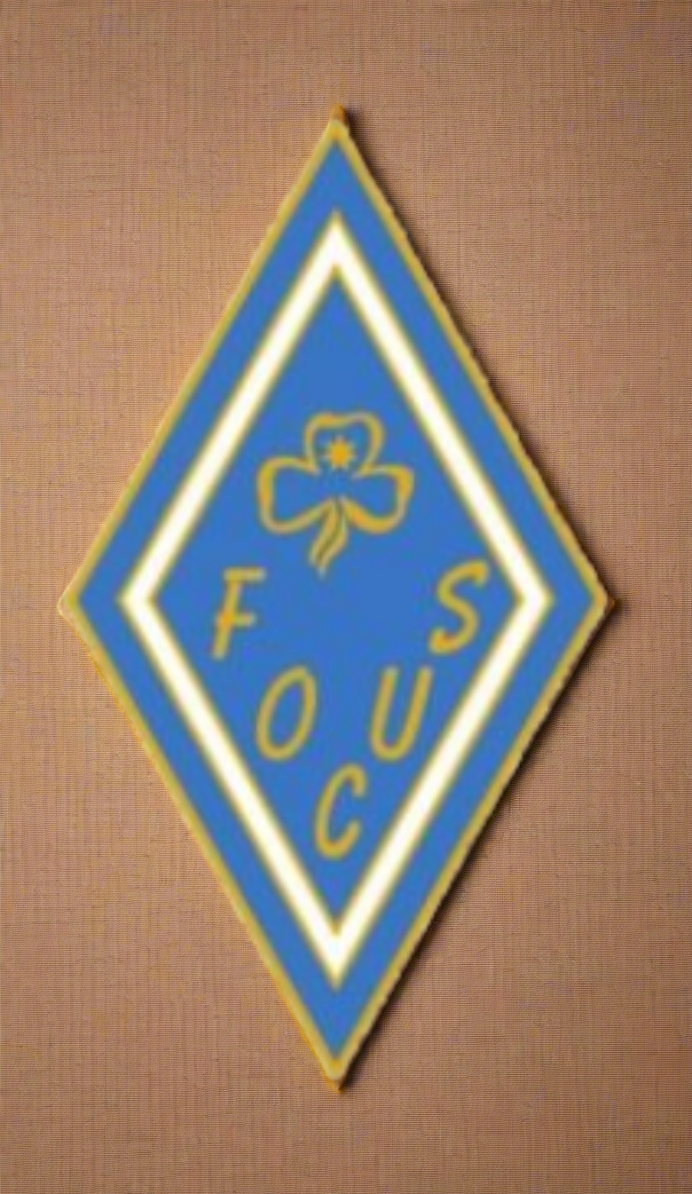 Queen's Guide Focus Badges