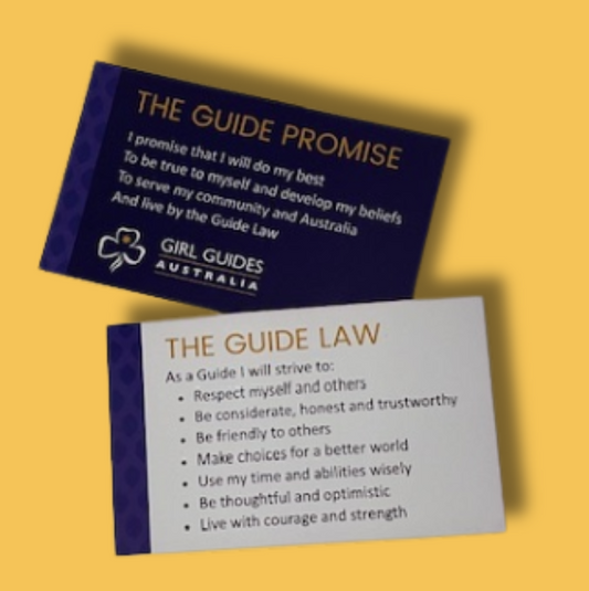 Promise and Law Business Cards