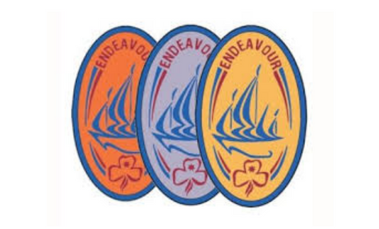 Silver Endeavour Cloth Badge