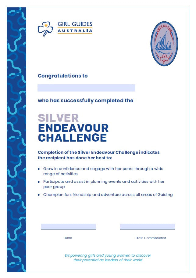 Silver Endeavour Certificate